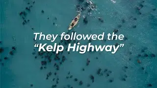 Into Nature's Wild - The Kelp Highway