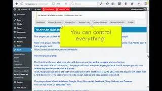 reCAPTCHA and Cloudflare Turnstyle WordPress Plugin: The new way to use. No ugly checkbox to click.