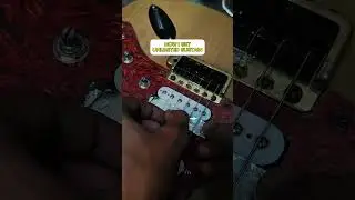 LIKE A SUSTAINIAC PICKUP ??!! #guitar
