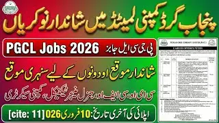 Punjab Grid Company Limited Jobs 2026 ⚡ | CEO CFO GM Technical Company Secretary | Energy Department
