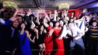 Best Wedding Planner Dj Mariage Montreal   Demo