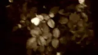 Spooky Halloween Black Spartacus Heart Attack Machine