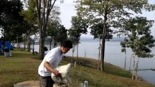 30012011002.mp4