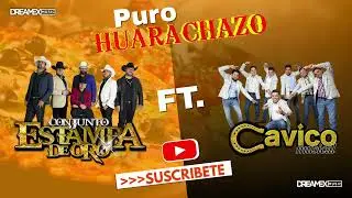 Conjunto Estampa De Oro Ft Cavico Musical-Puro Huarachazo