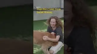 Собаки удивительнее, чем вы думаете 🐶 - FactDogSpark #ФактыОЖивотных
