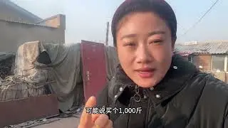 网友问？你家种多少大米？全面都在卖？ 网友问？你家种多少大米？全面都在卖？#五常大米