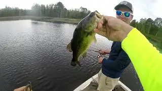 Finding the FIRST POSTSPAWN Bass