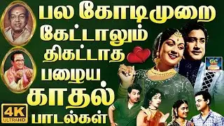 பல கோடிமுறை கேட்டாலும் திகட்டாத காதல் பாடல்கள் | Evergreen Classic Hit Songs | TMS | P.Susheela