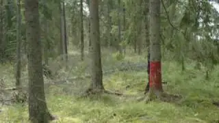 The Ghosting