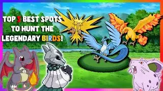 Top 5 *Best Spots* To Hunt The Legendary Birds in Kanto! - PokeMMO