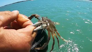Catching Crabs with No Bait!! Catch Clean and Cook