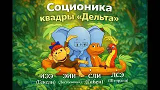 Квадра 