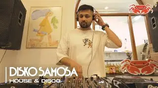 House & Disco set at a Pizza Party | Ft. Disko Samosa | Sapa bakery | Umami Brew