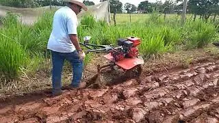 Arado aiveca l&acirc;mina fixa, roda de tra&ccedil;&atilde;o de ferro para motocultivador e micro trator