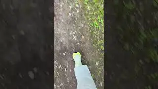 Tr&auml;nar p&aring; att springa. Det &auml;r jobbigt. G&aring; &auml;r mycket l&auml;ttare. Men jag ska lyckas det vet jag.