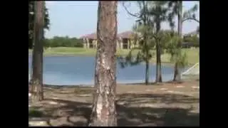 Majors Lely Resort Naples Homes for Sale