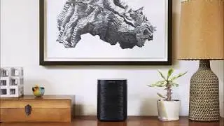 Sonos Vice Controller 2019 - 2020