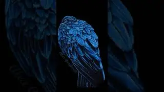 How to draw feathers: realistic bird drawing / colored pencils on black paper / time lapse #shorts