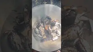 Ultimate Fresh Crab Boil Guide | Catch and Cook Seafood Perfection