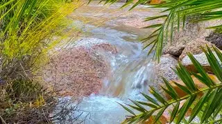 لقطات من جمال ميسان The beauty of Saudi Arabia