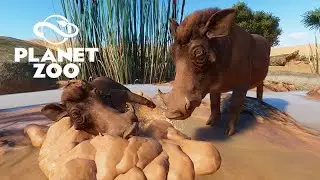 A SUPER SAVANA - LIBERTANDO JAVALIS AFRICANOS.  Mãe búfalo não cuida bem do filhote. -  Planet Zoo