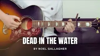 Noel Gallagher - Dead in the Water (cover)