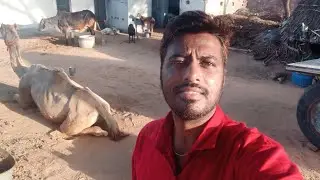 Real देसी vlog | Typical village life of India | Life with Ostomy bag Vlog Jaichand Rajasthani Vlog
