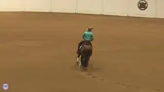 2025 Quarter Horse Congress Open Futurity Prelims Sean Johnson on Braveheartt
