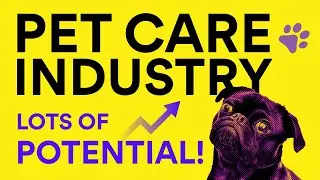 Market Research: Pet Care Industry - Do people in the UAE have more pets?!