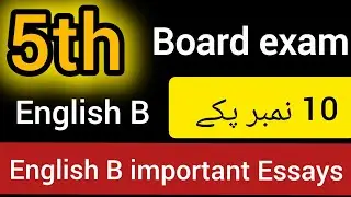 Class 5th Guess Paper English 2025-26 Final Term | important Essays | Punjab board | PECTA 