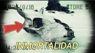 ¿La Inmortalidad es Posible? La Ciencia lo Explica
