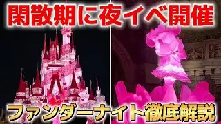 【パルパル第5弾】期待のファンダーナイトに早速行ってみた‼️【2026.1.13 ミニーのファンダーランドスニーク】