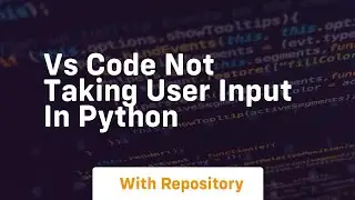 Vs code not taking user input in python