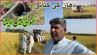 Rice Crop Harvesting!! Dhan ki katai Full Vlog !! Price & Average Detail’s