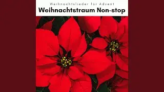 Auld Lang Syne and Cicadas Soothing Sounds for Turbo Holiday Relax