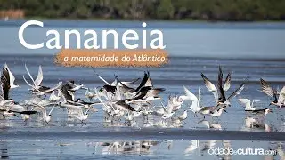 Cananeia - Vídeo Institucional
