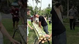 How to Harvest & Treat Bamboo