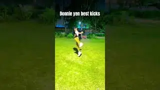 Donnie yen best kicks🥺🙏 #youtubeshorts #youtube #martialarts #kungfu #karate #mma #ufc #rajuchhetri