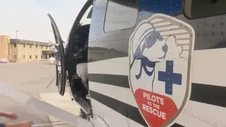 Pilots to the Rescue flies 17 rescue cats & dogs from the Tri-Cities