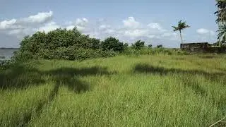 1 Acre 1 Cent Waterfrontage Plot with Old House in Panangad,ERNAKULAM