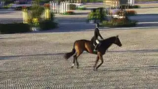 Video of WHISKEY TANGO ridden by TAYLOR ANN ADAMS from ShowNet!