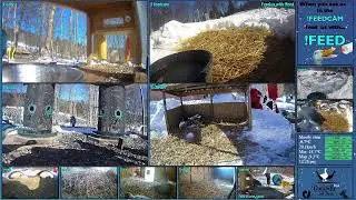 FREE DAILY FEED - Relax with ducks, goats, pups, squirrels, bunnies and other animals!