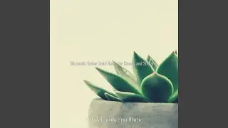 Stylish Music for Memories