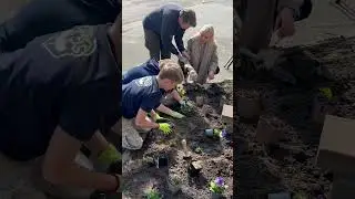 Aanleggen geveltuin door Talentklas Vlaardingen
