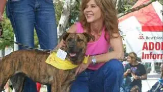 Tribute To Linda Blair Worldheart Foundation