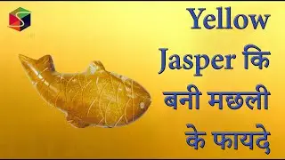 Yellow Jasper कि बनी मछली के फायदे ll Benefits of Yellow Jasper Fish when kept at home/office