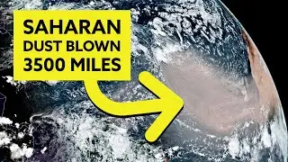 Saharan dust blown 3500 miles from Africa to Caribbean - US next
