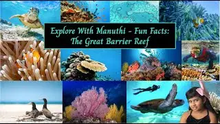 Fun Facts About The Great Barrier Reef | Australia's Great Natural Wonder - Explore with Manuthi..