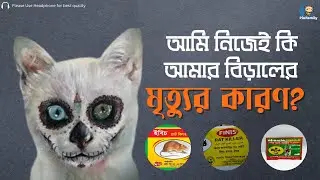 আমি নিজেই কি আমার বিড়ালের মৃত্যুর কারণ? | PiuFamily
