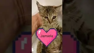 Jamiela. Ace-Algeciras 2018